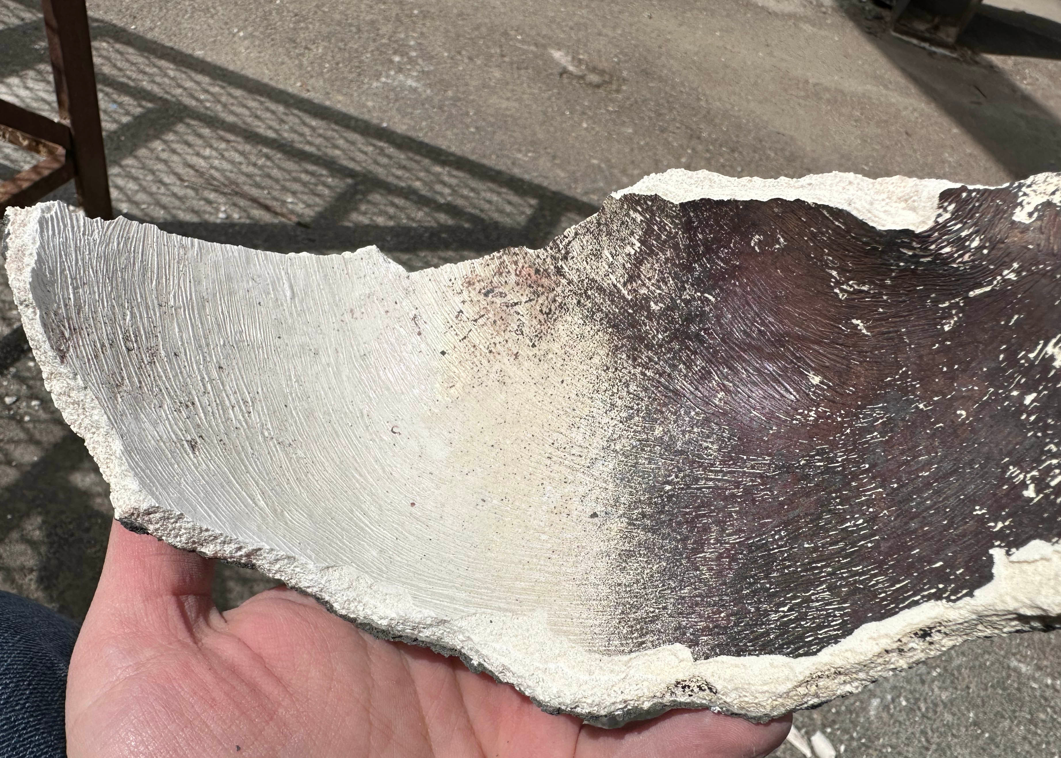 Interior of the ceramic shell mold. 