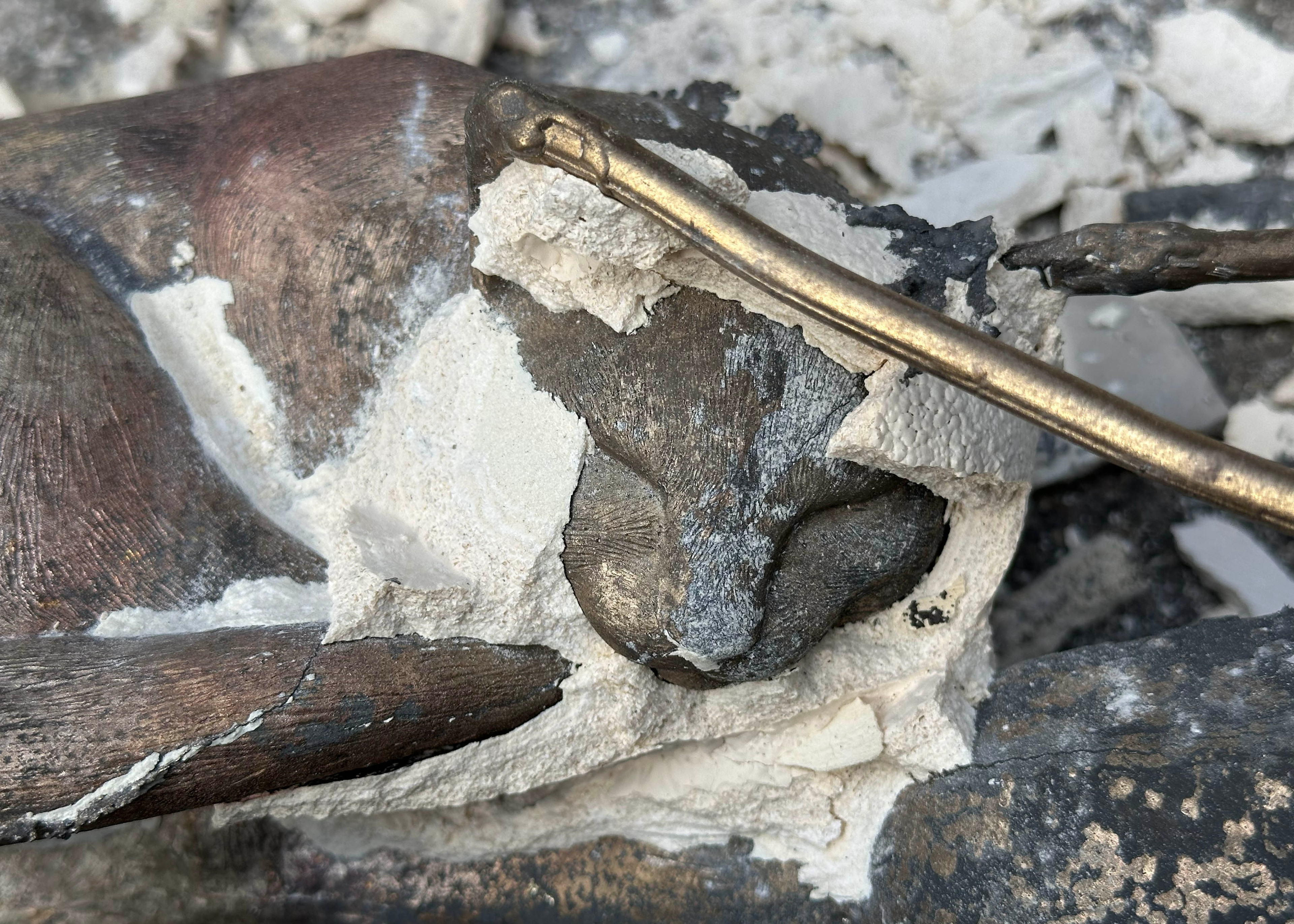 Is this what it feels like to extricate ancient artifacts and fossils from rock?