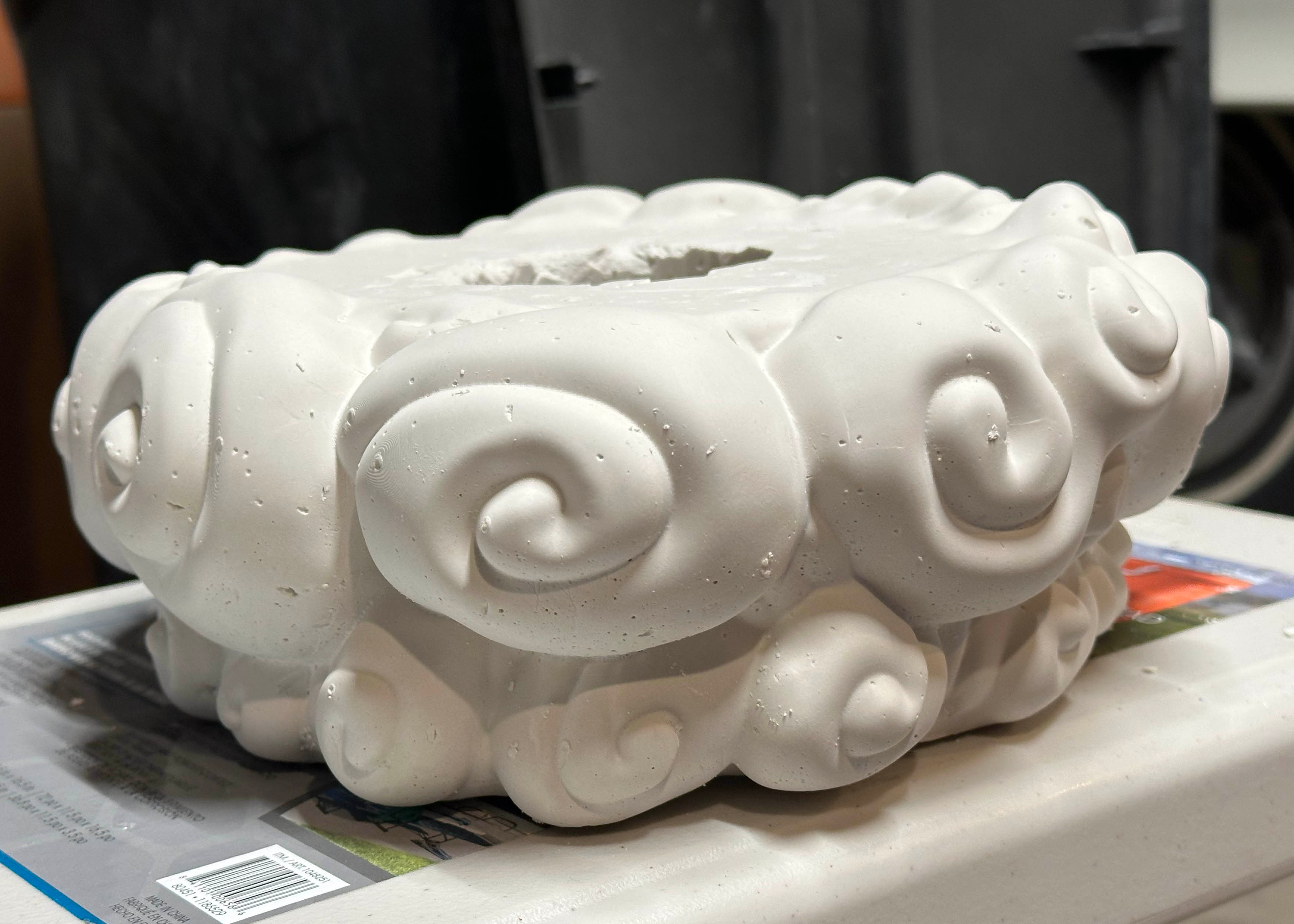 The plaster cast