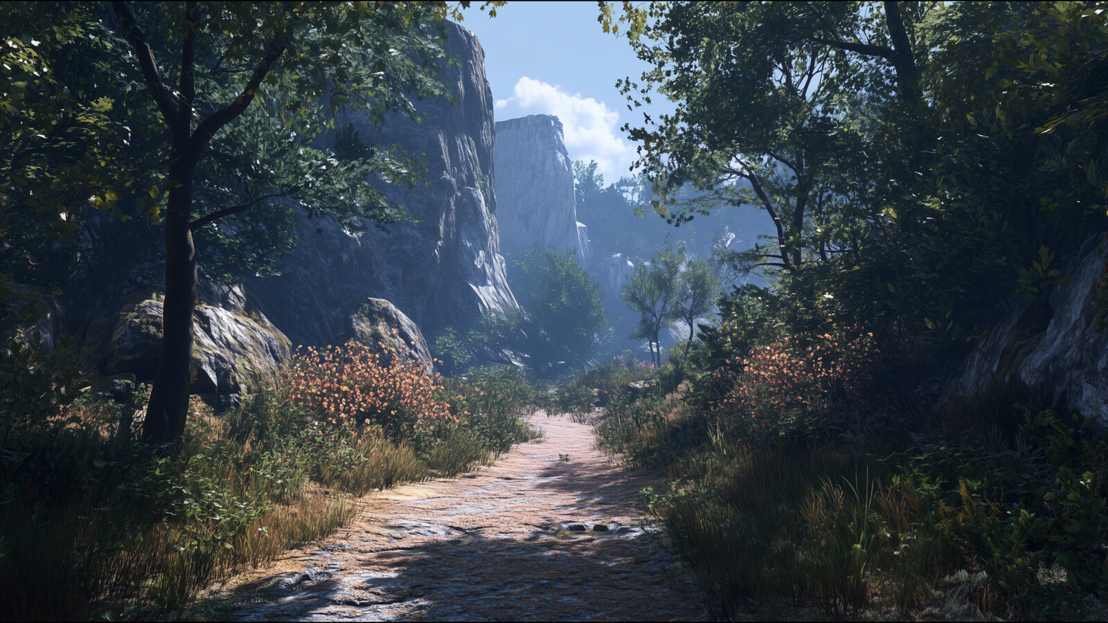 Paths (Variations)
