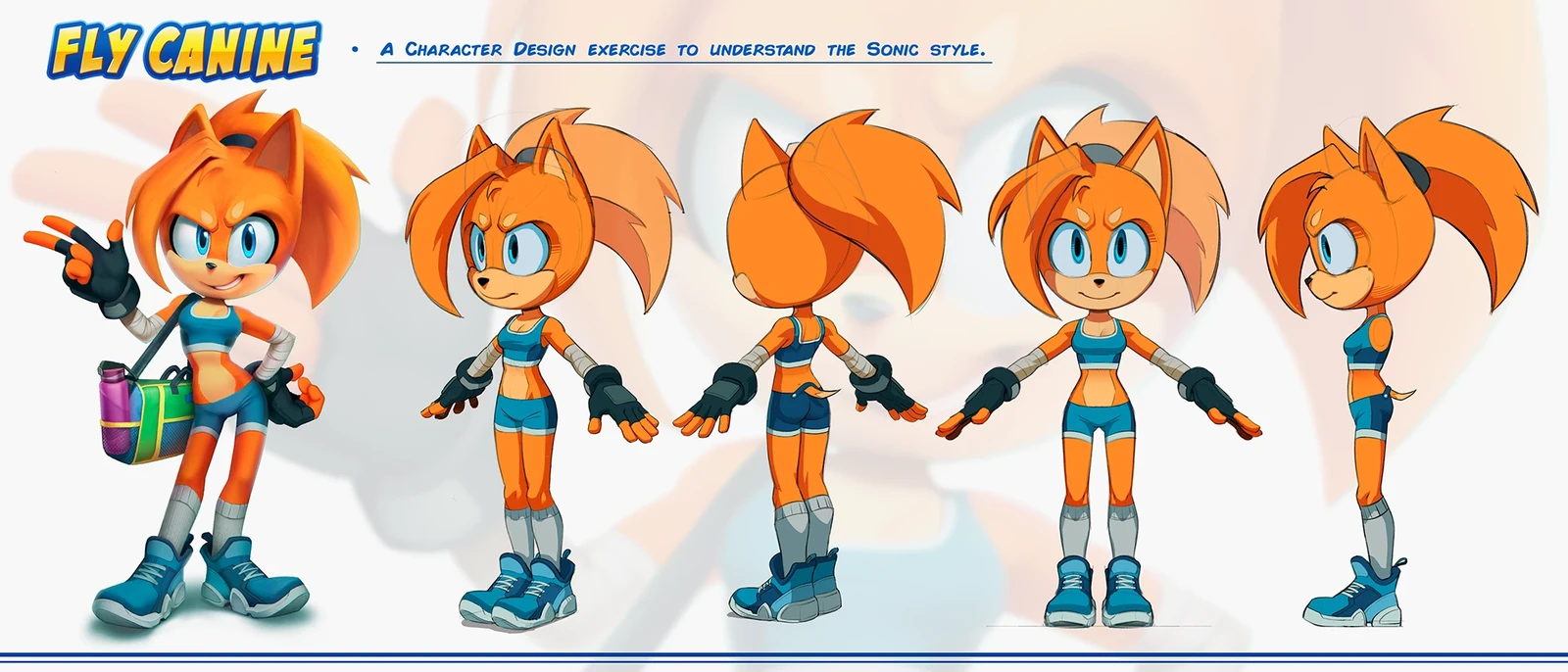 Fly Canine - Original Character in Sonic Style