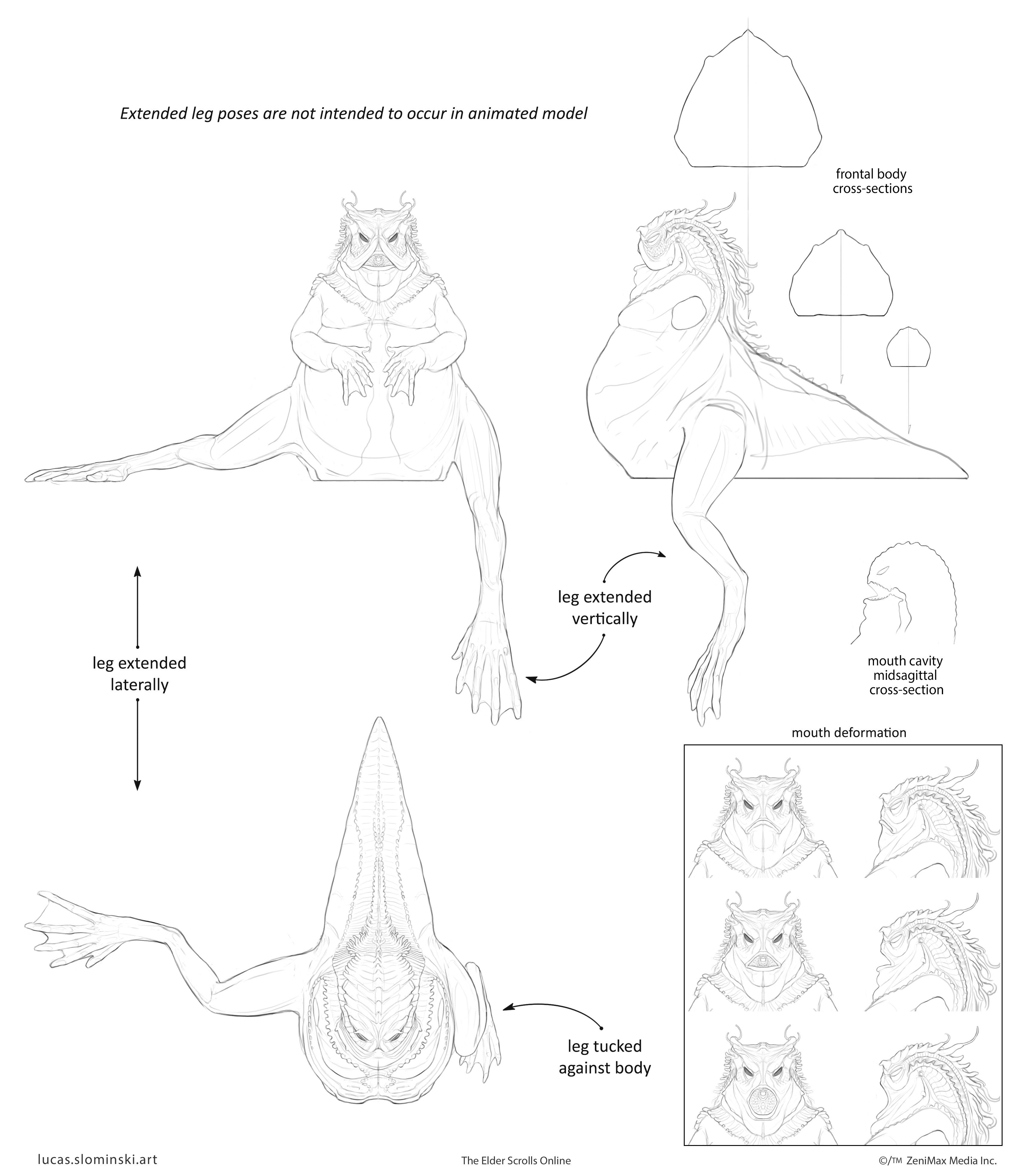 Orthographic anatomy drawings for 3D modeling