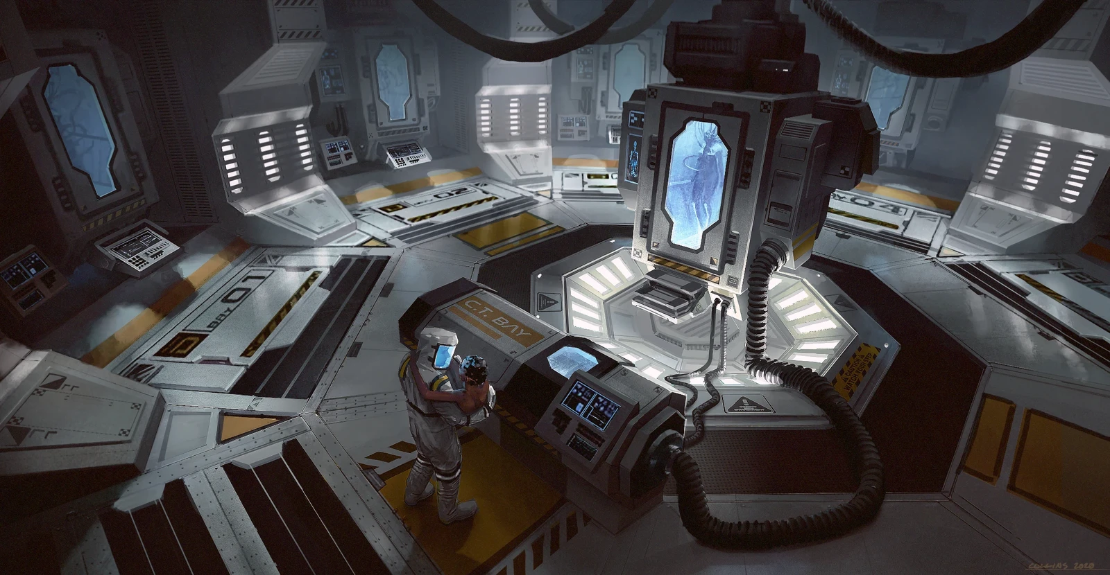 Reproduction Complex - D