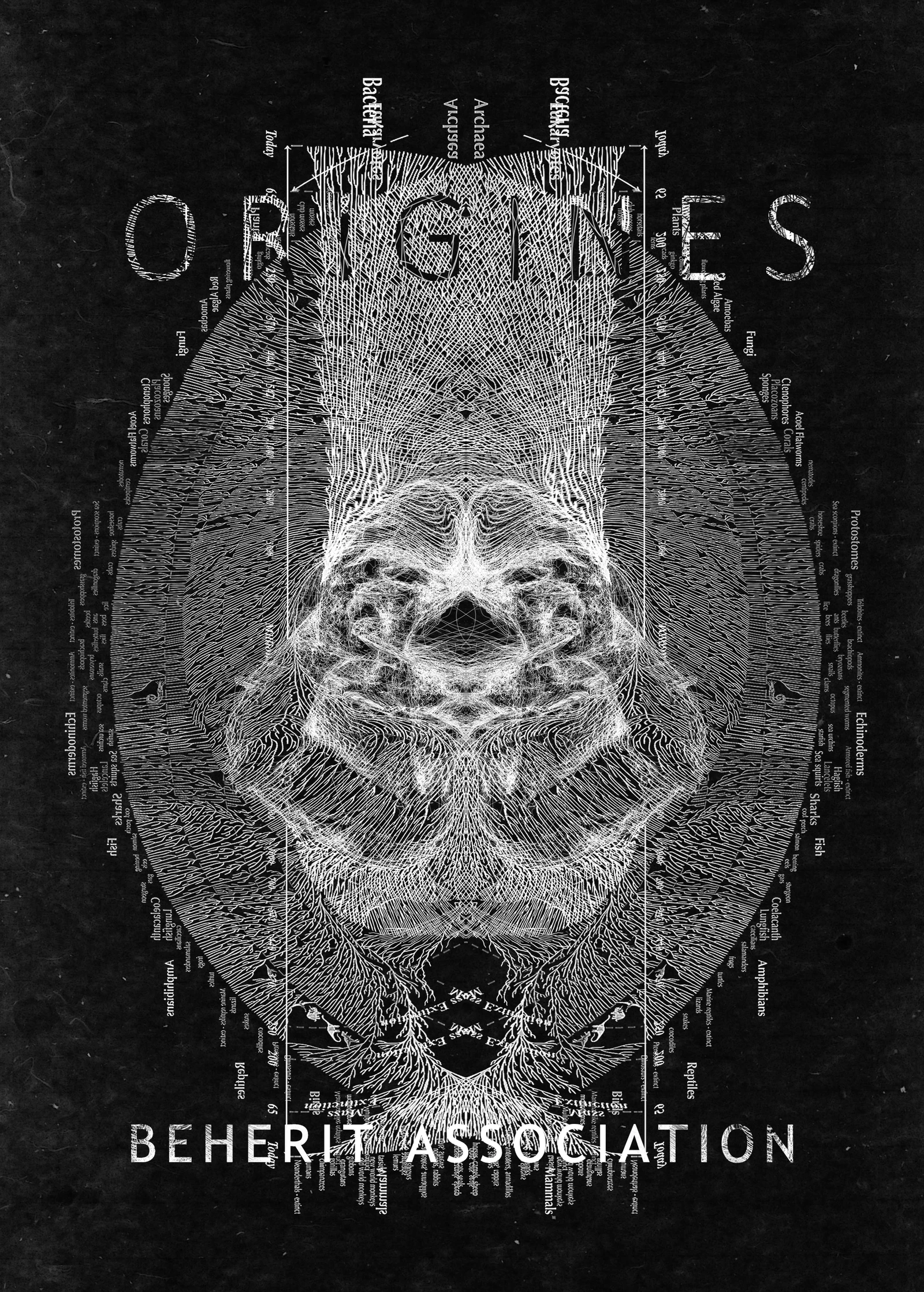 Origines