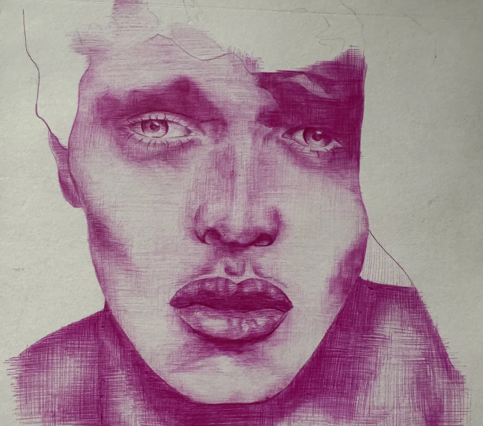 Biro Portrait in Pink