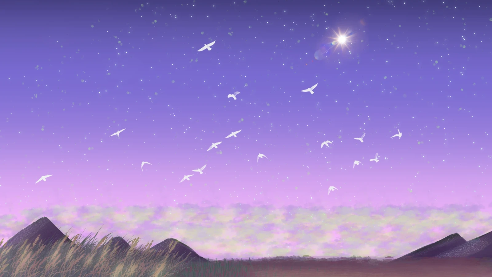 Birds and skies