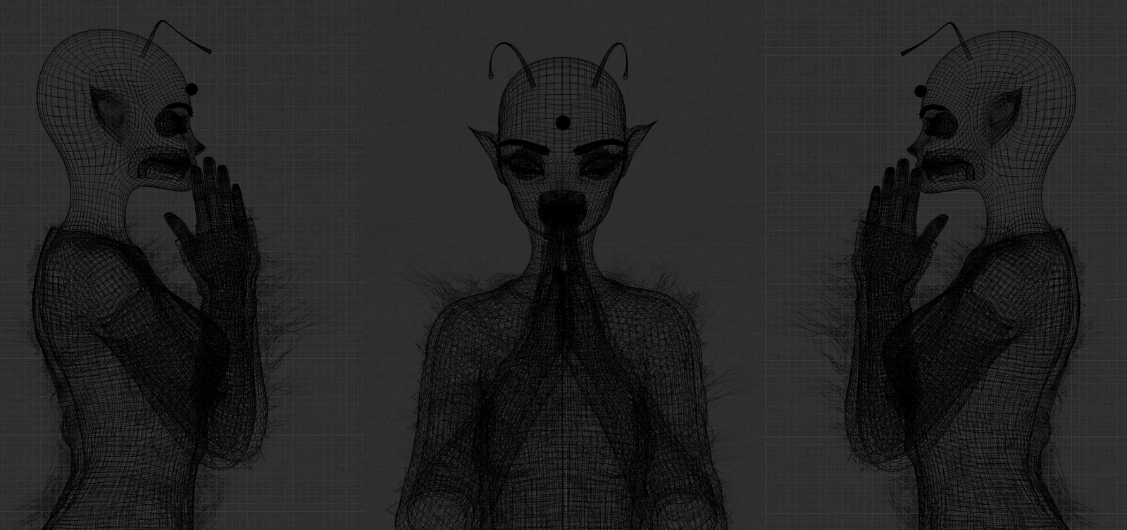 Viewport Wireframe