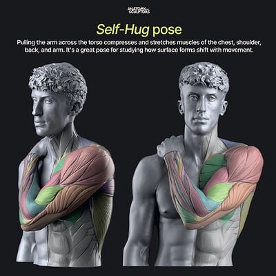 Self-Hug Pose (Anatomy)