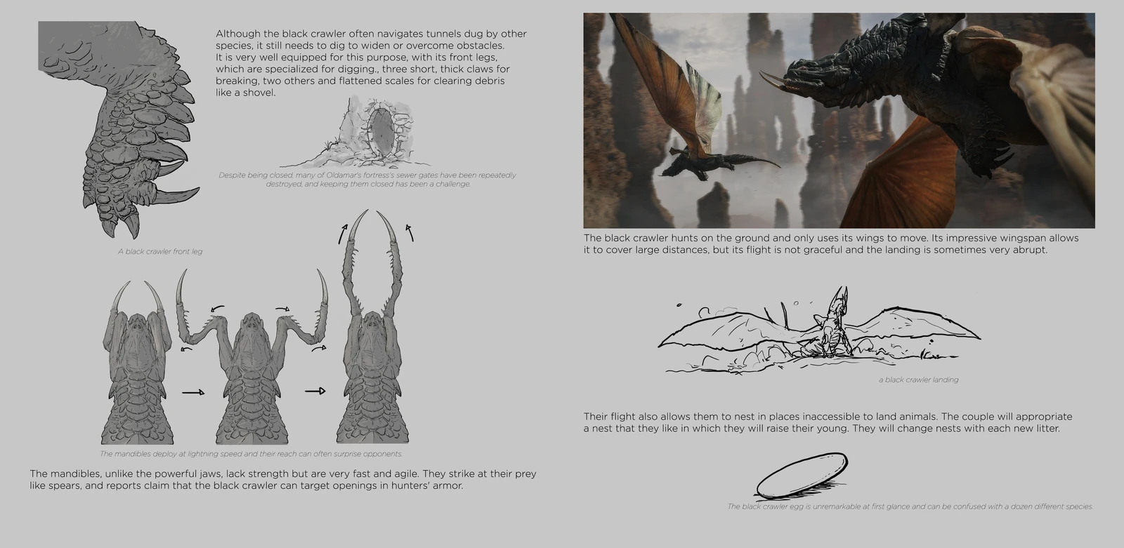 more lore, fun way to explain some design decision