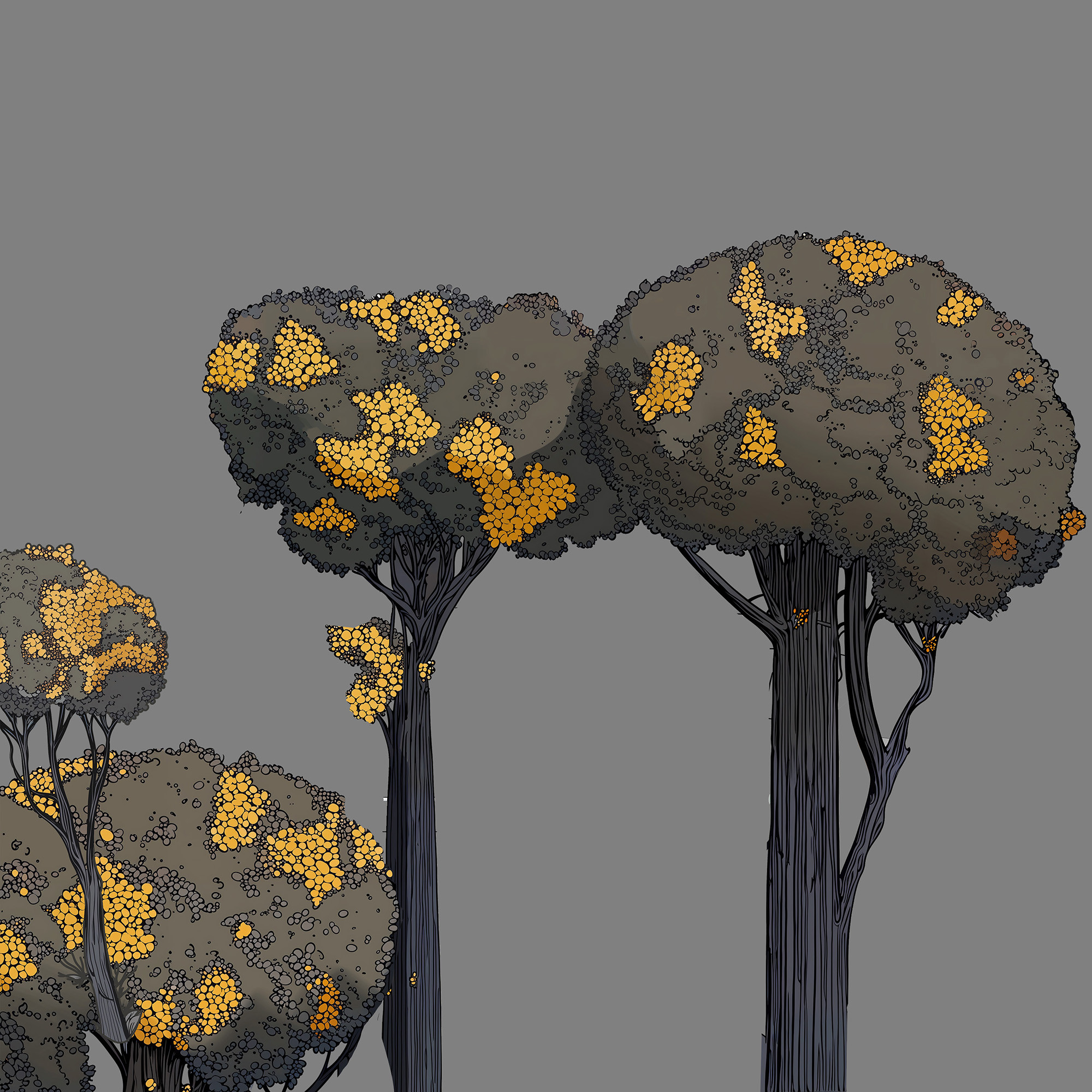 'The Forest and the Hunter' - elements