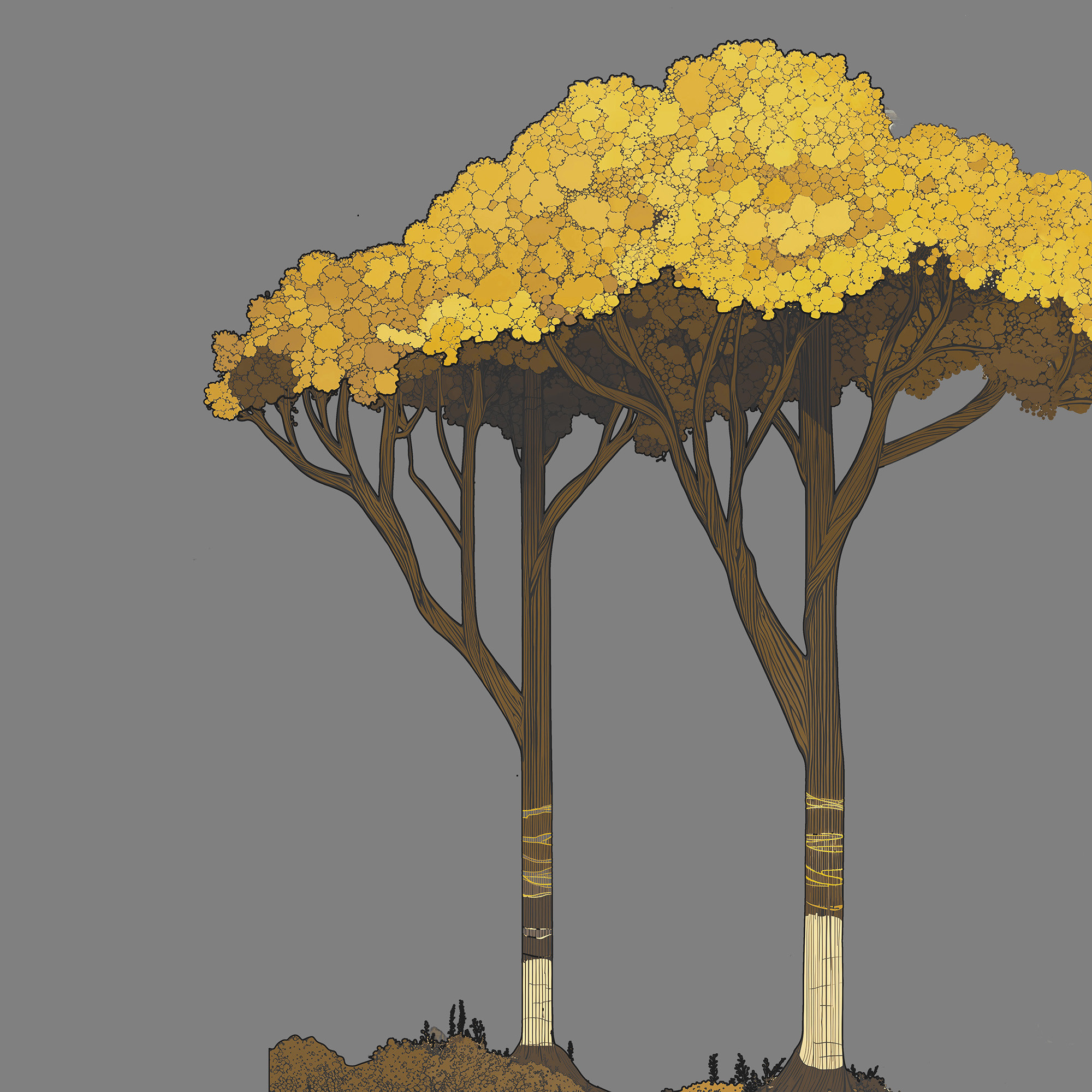 'The Forest and the Hunter' - elements