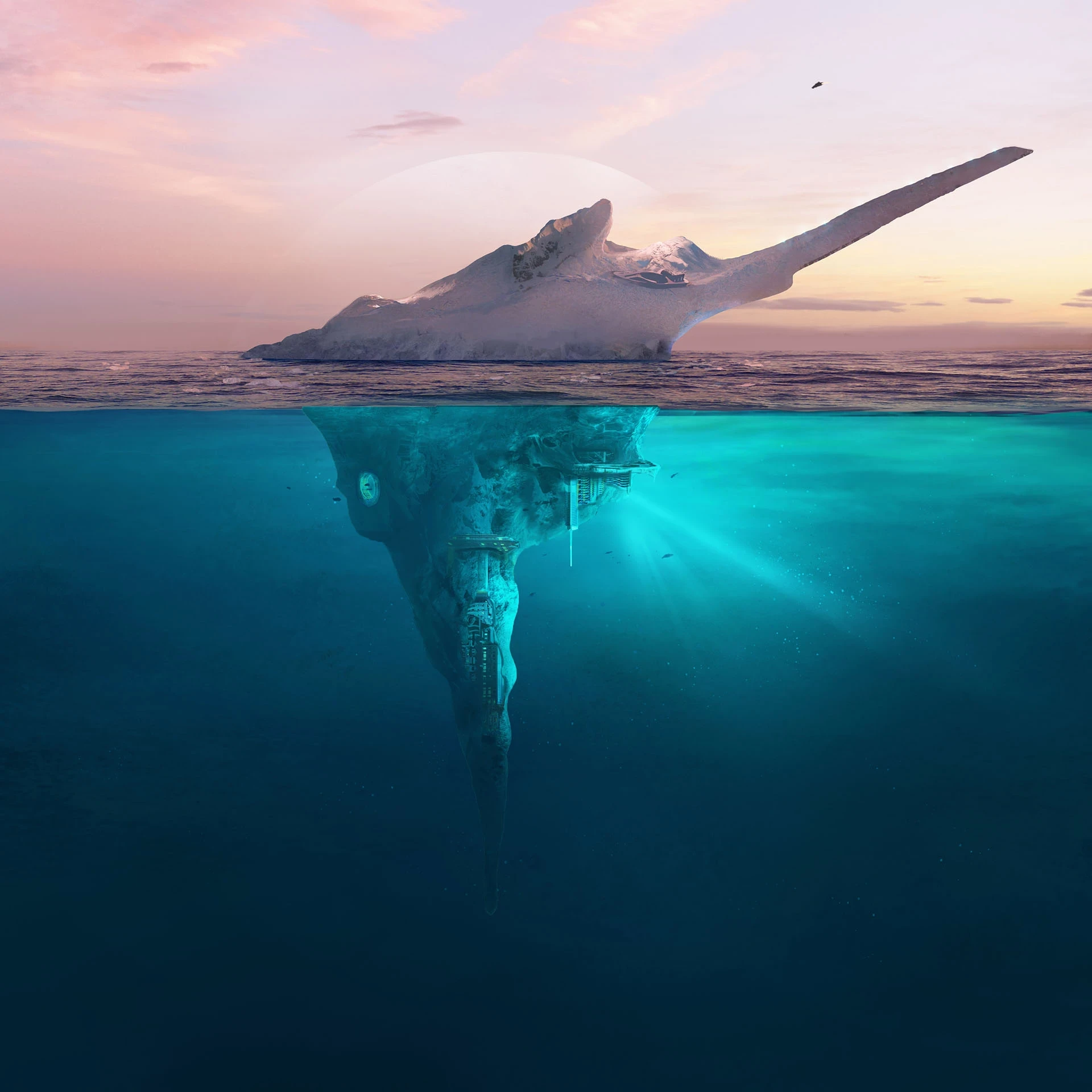 Arctic - Renejka