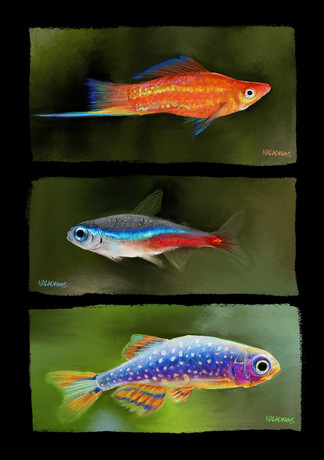Study | Fish Theory