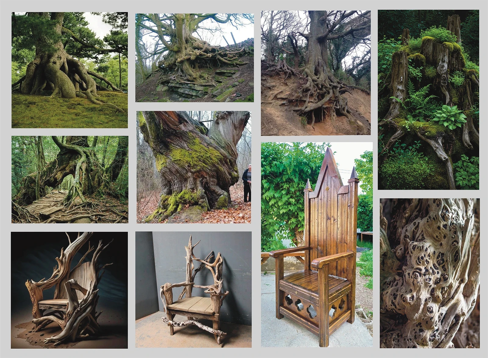 References
At this stage, I gathered a curated set of reference materials to guide proportions, shapes, and surface qualities.

All reference images belong to their original creators and are used strictly for study and inspiration.