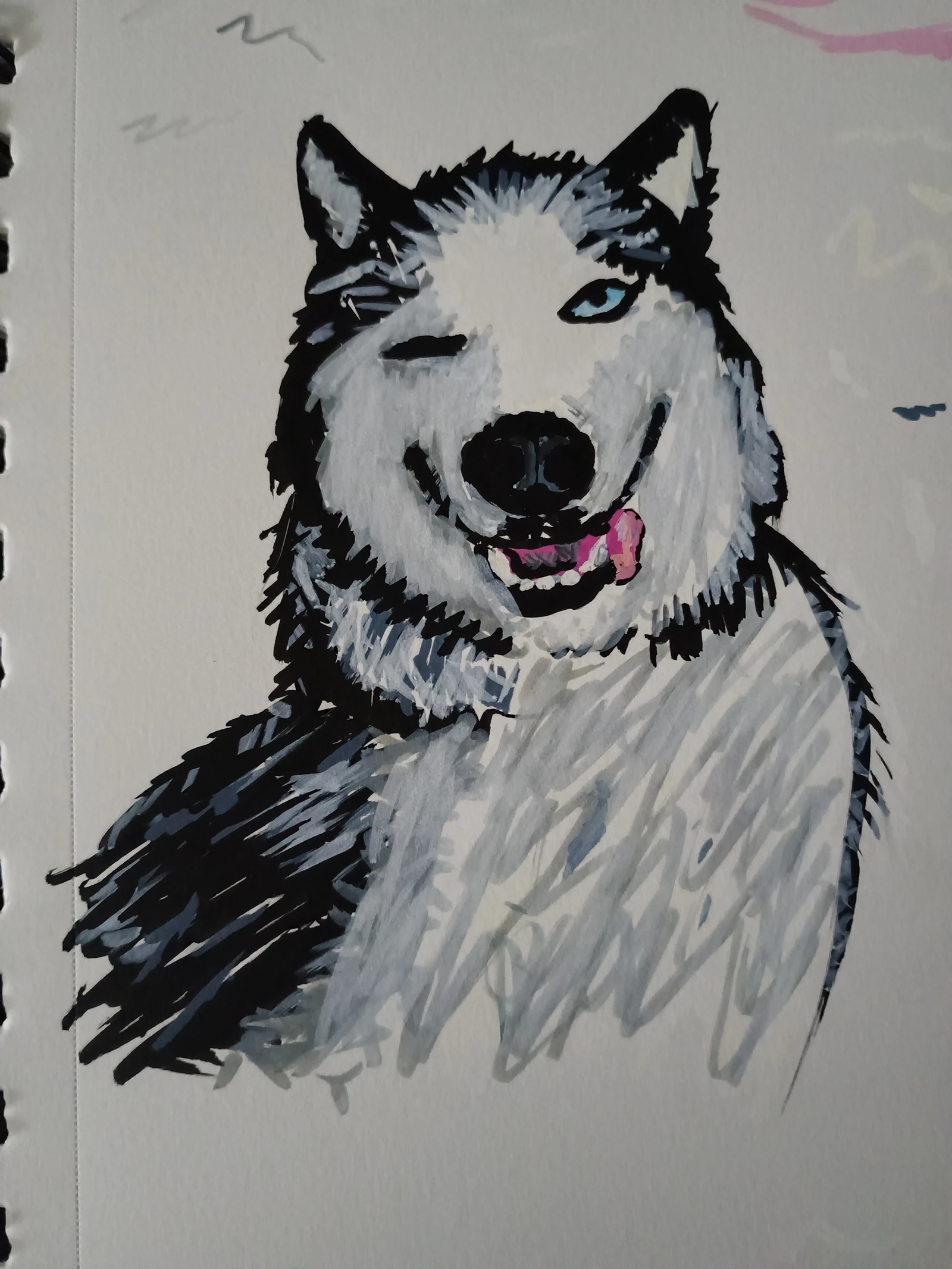 Study of a husky using acrylic paint markers.