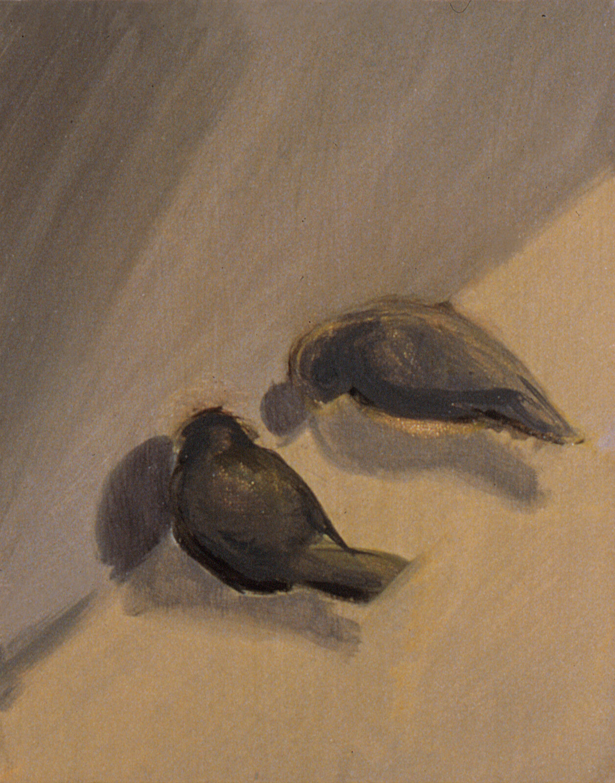 CRIES and WHISPERS #8