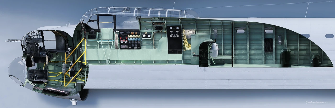 Section - starboard side