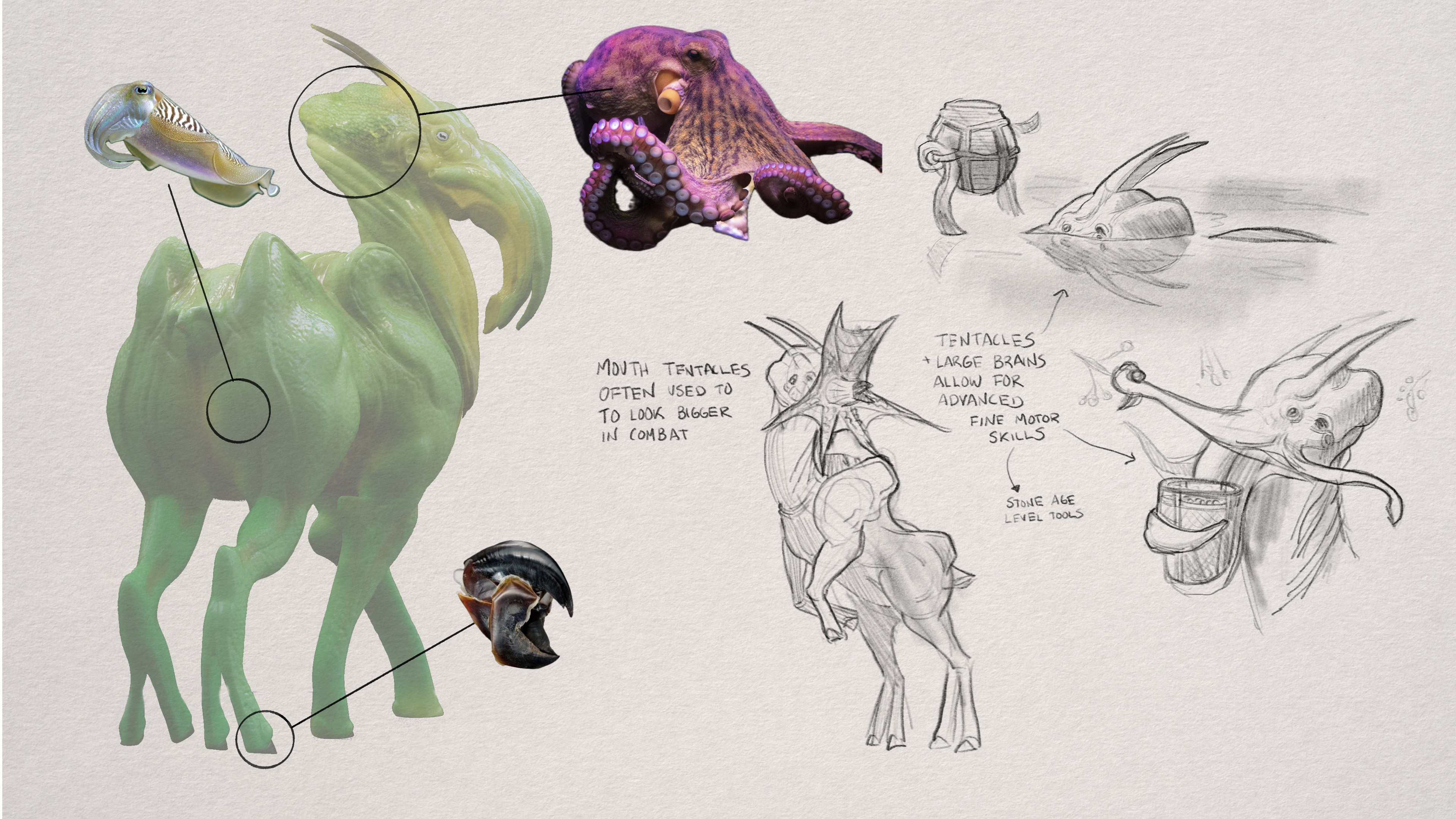 Material and behavior callouts