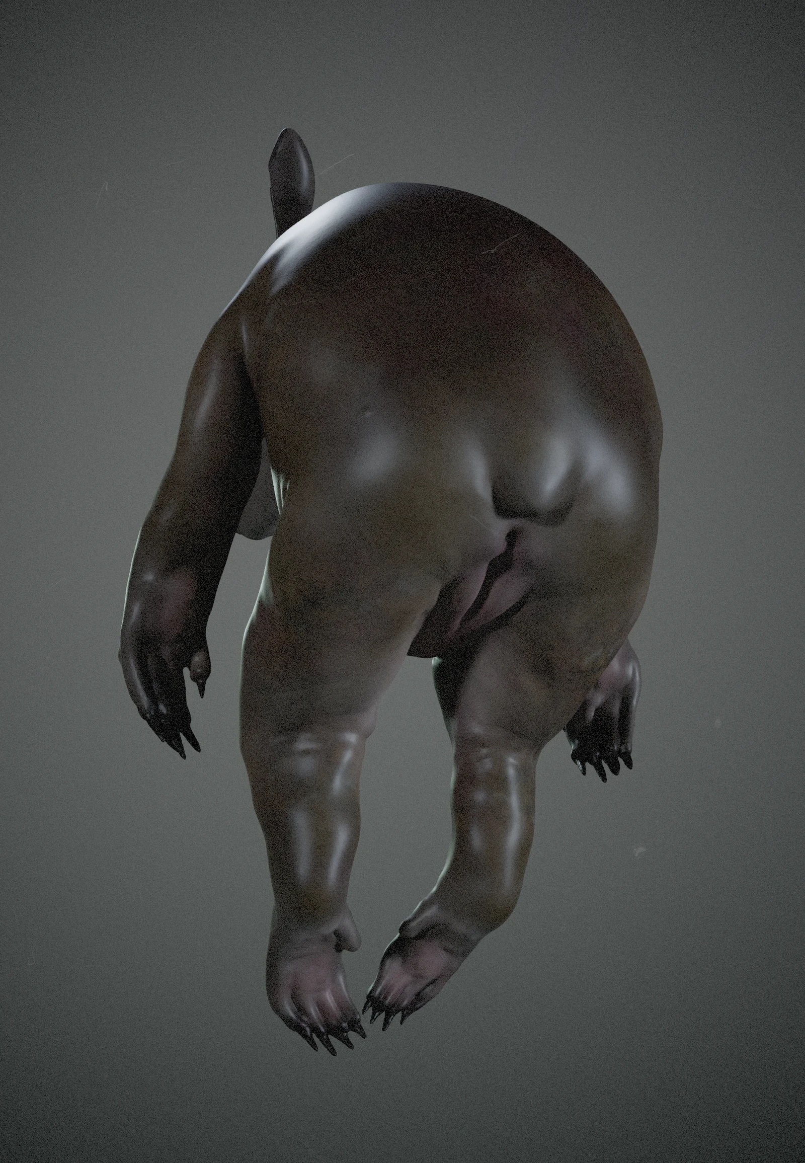 rendered view