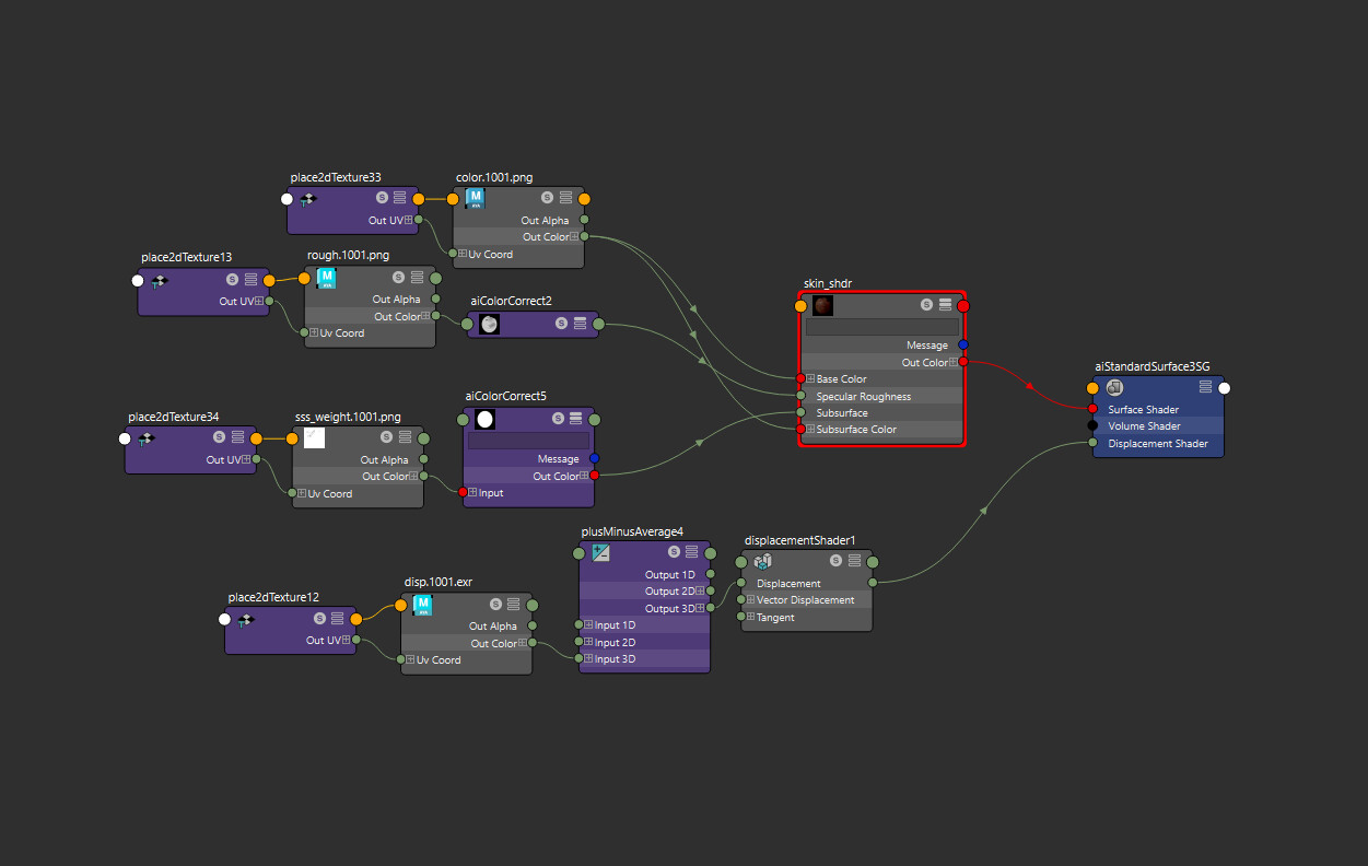 Arnold Shader for the Skin