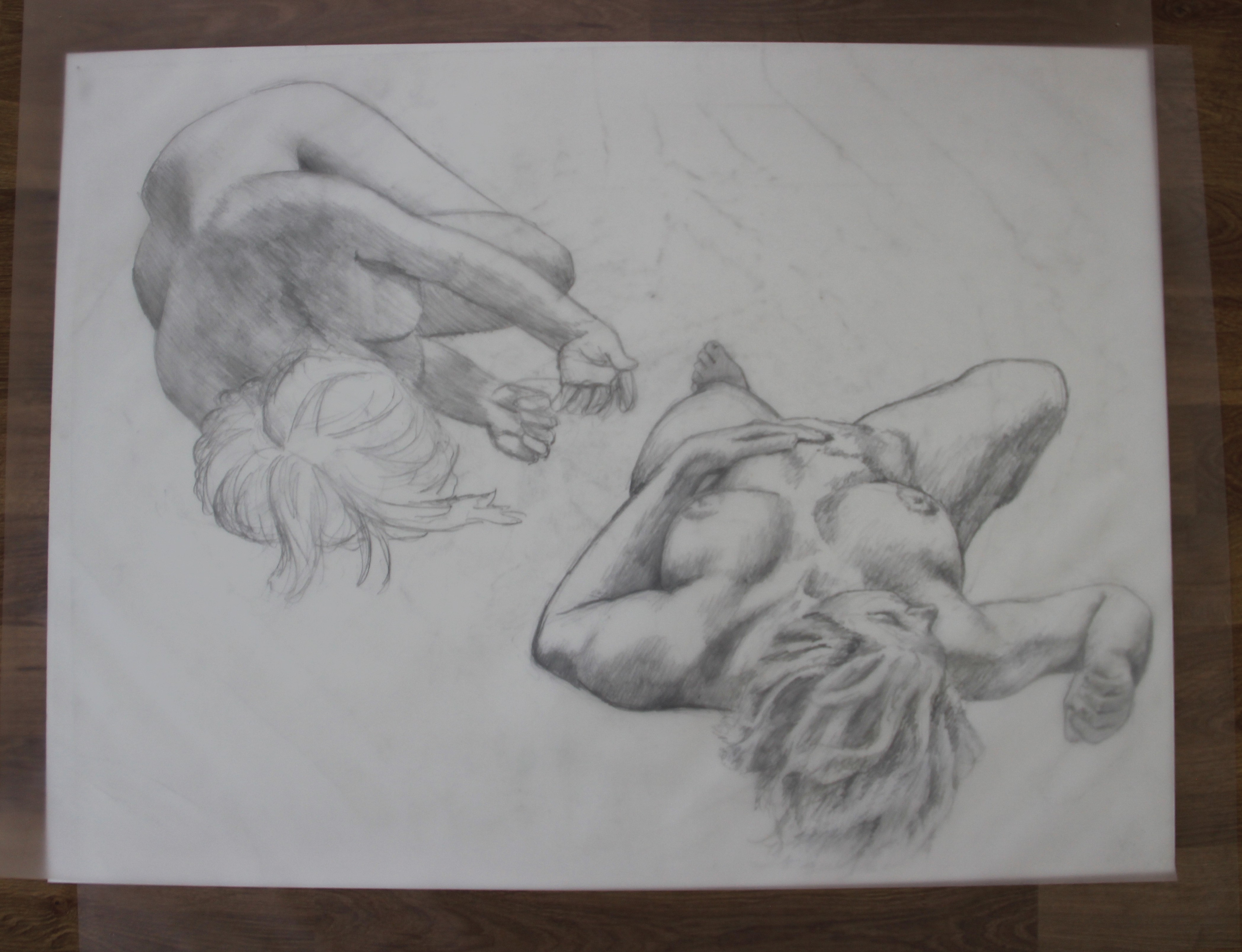 Two layered 20 x 25 in Acetate Sheets (paper underneath to show the drawings), graphite