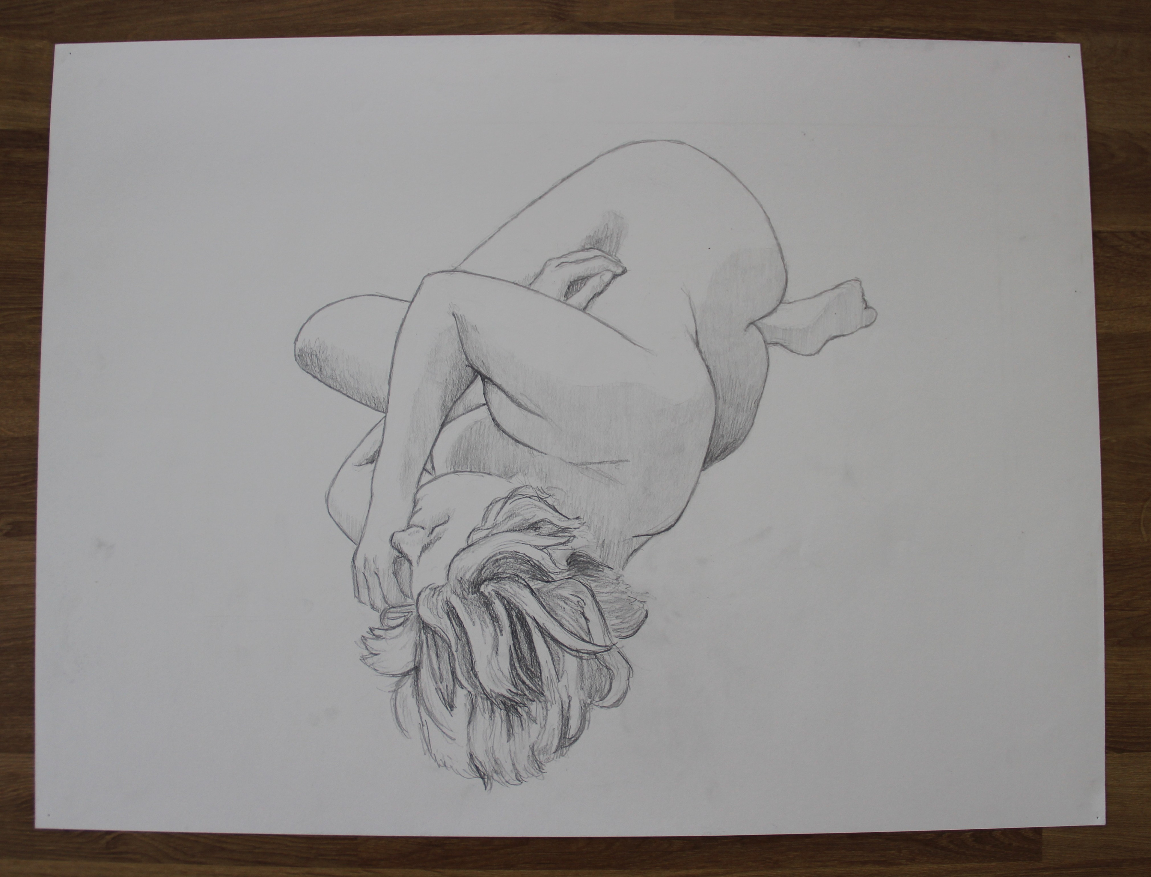 Base drawing on 18 x 24 in paper, graphite