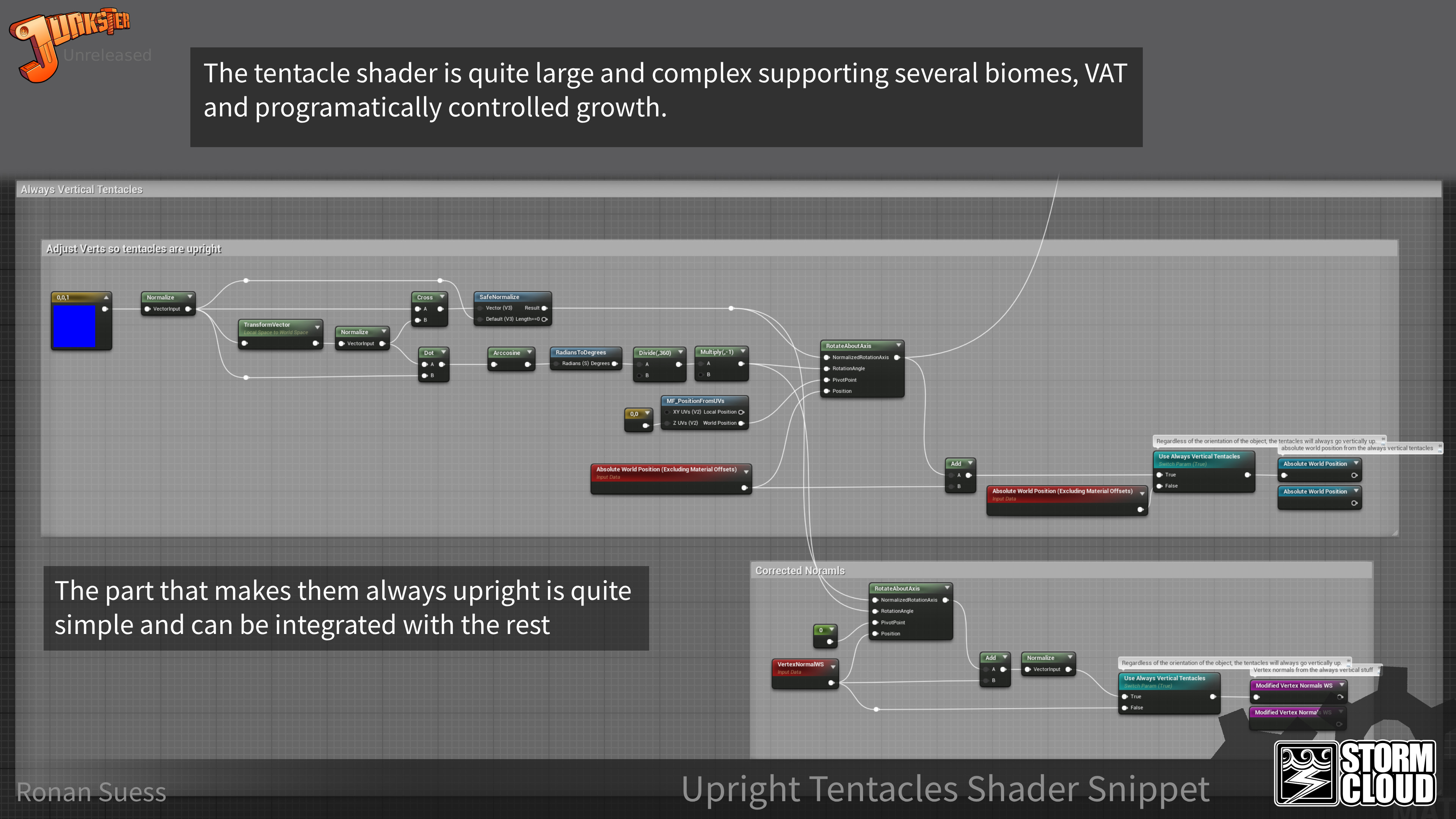 View of the important part of the much more complicated tentacle material.
