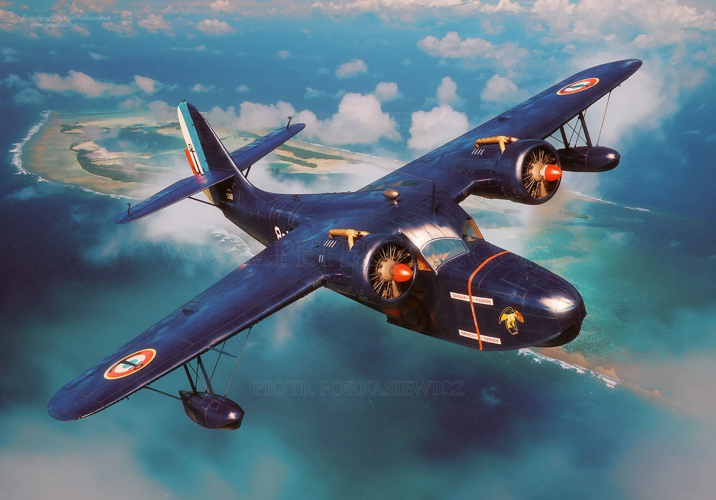 Grumman Goose French Navy version