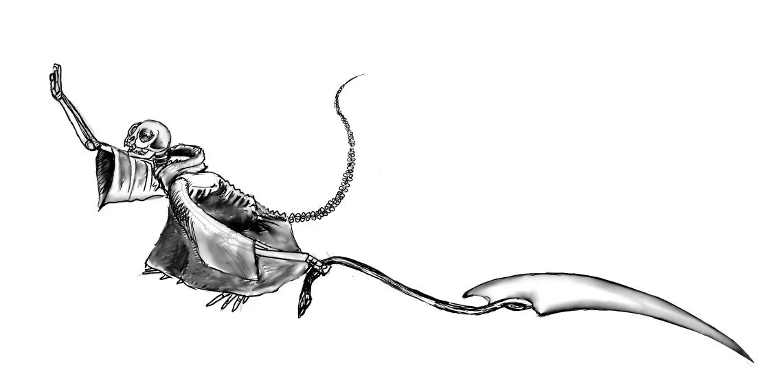 day 26