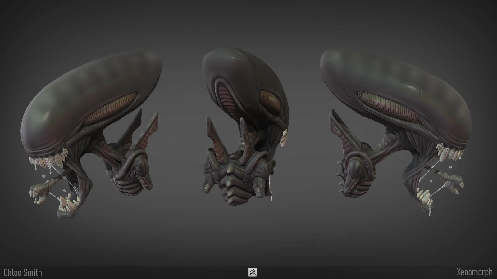 Xenomorph