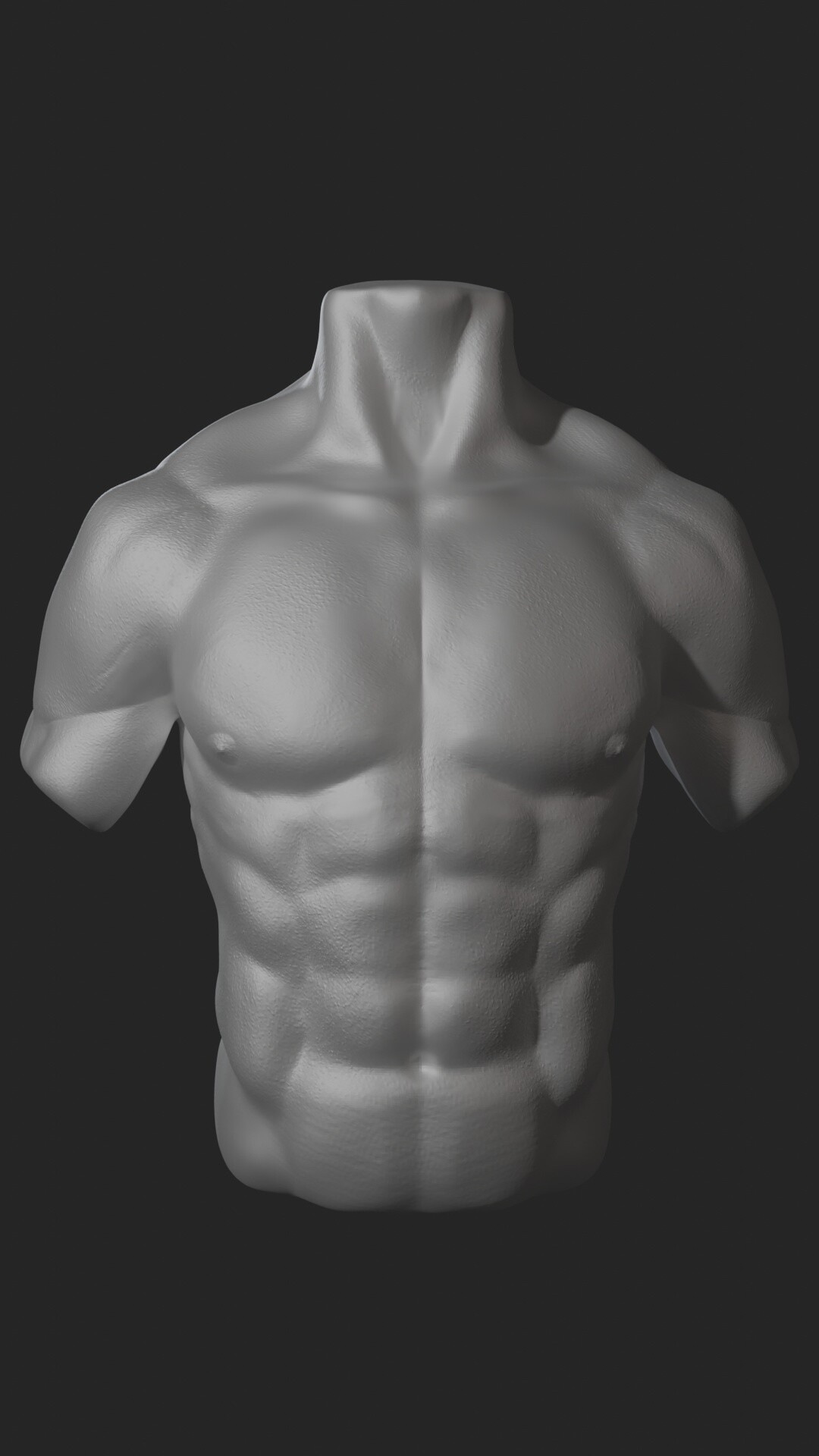 ArtStation - Male Torso Project