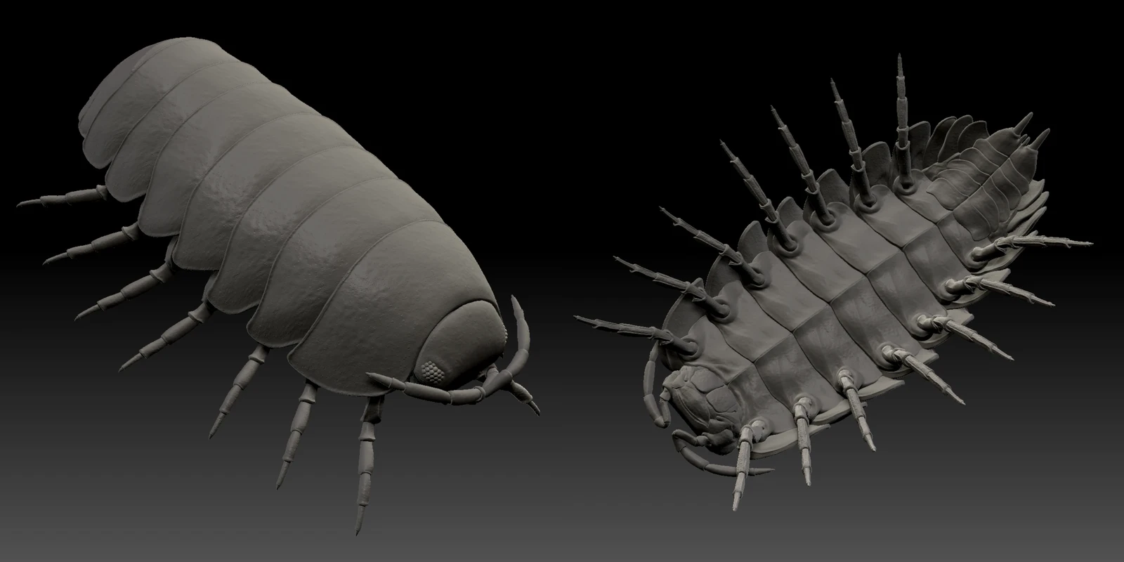 High Poly