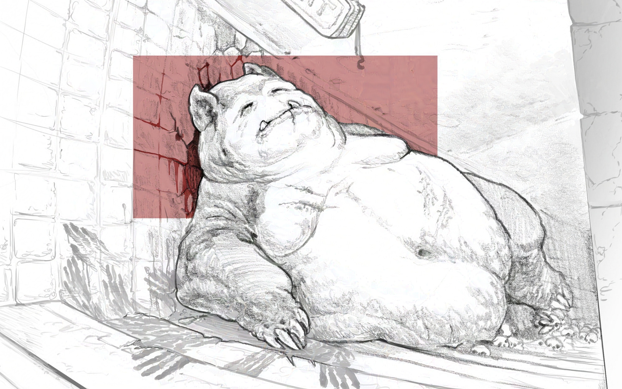 Book is available for purchase with link in description.