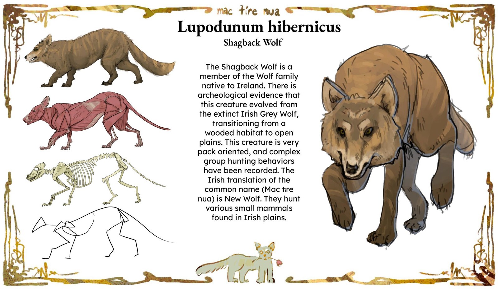 Irish Wolf Creature Design