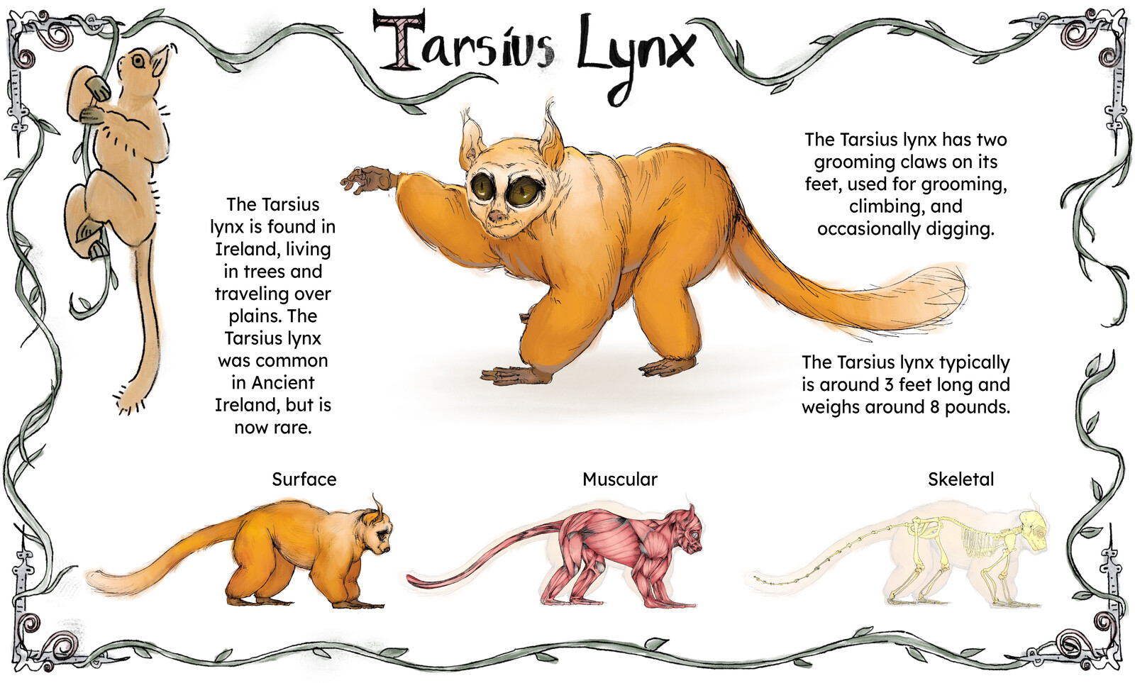 Irish Monkey Concept Art