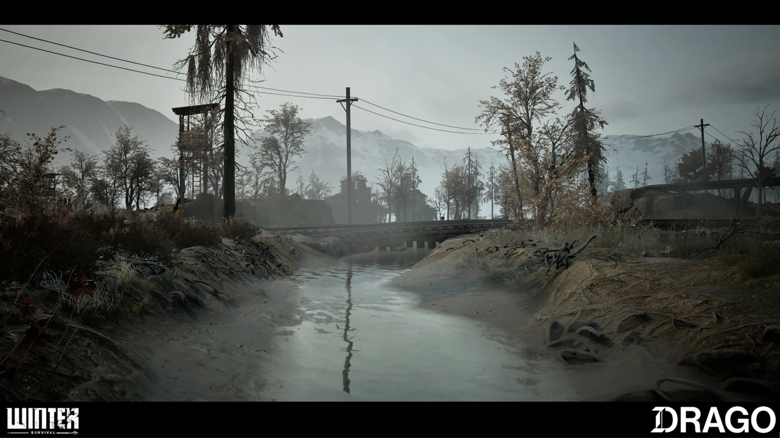 Another shot of Wetland Biome