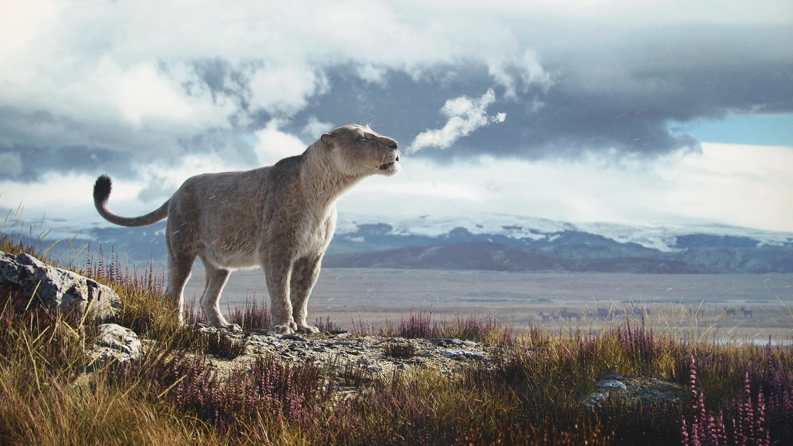Background images: https://unsplash.com/photos/animals-near-body-of-water-during-daytime-eruJrt8sRmo
https://unsplash.com/photos/a-body-of-water-with-mountains-in-the-background--ynpXDc8HRc