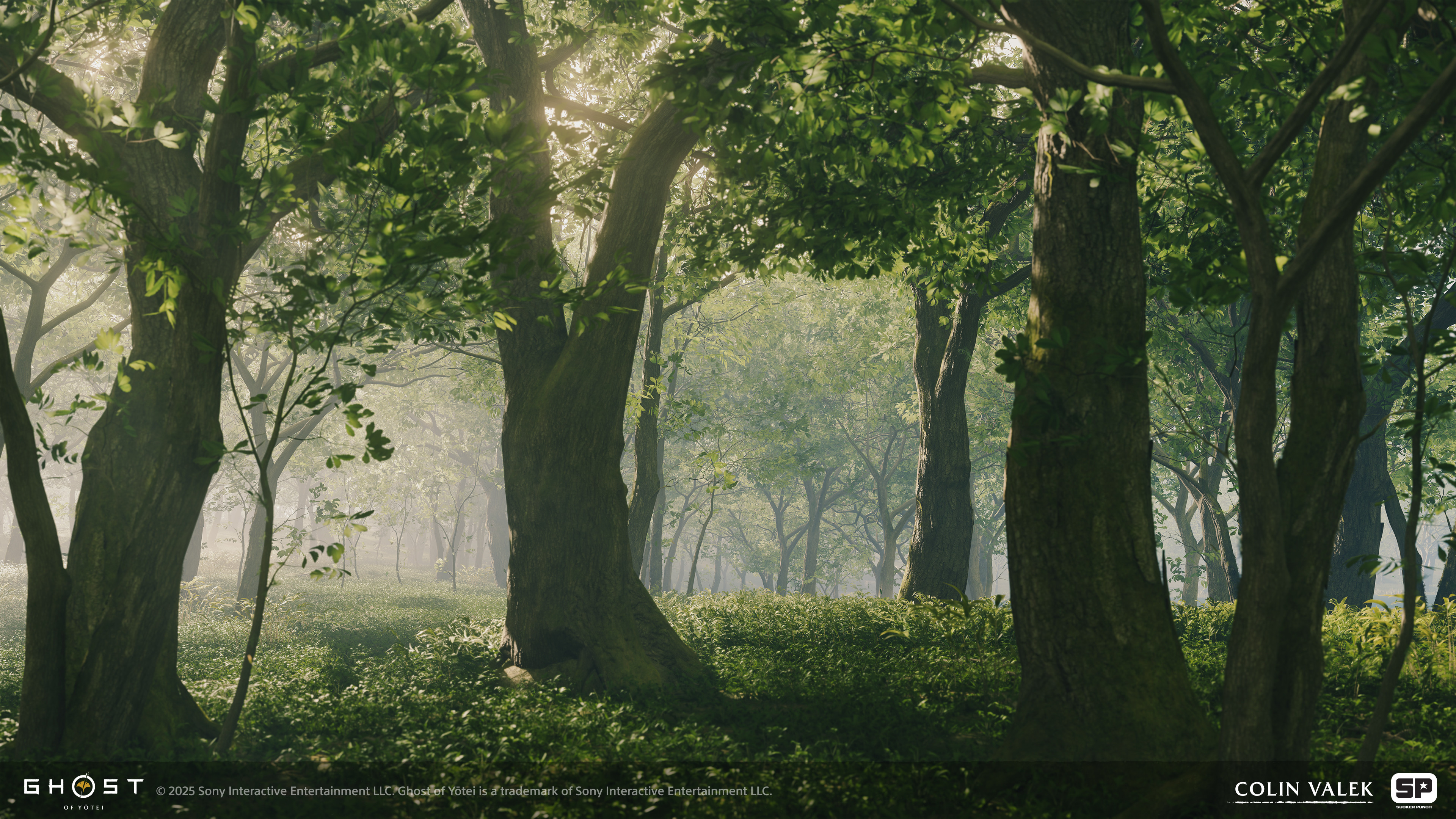Growth expressions + tree assets made by me, foliage groundcover made by Joeanna Steuber