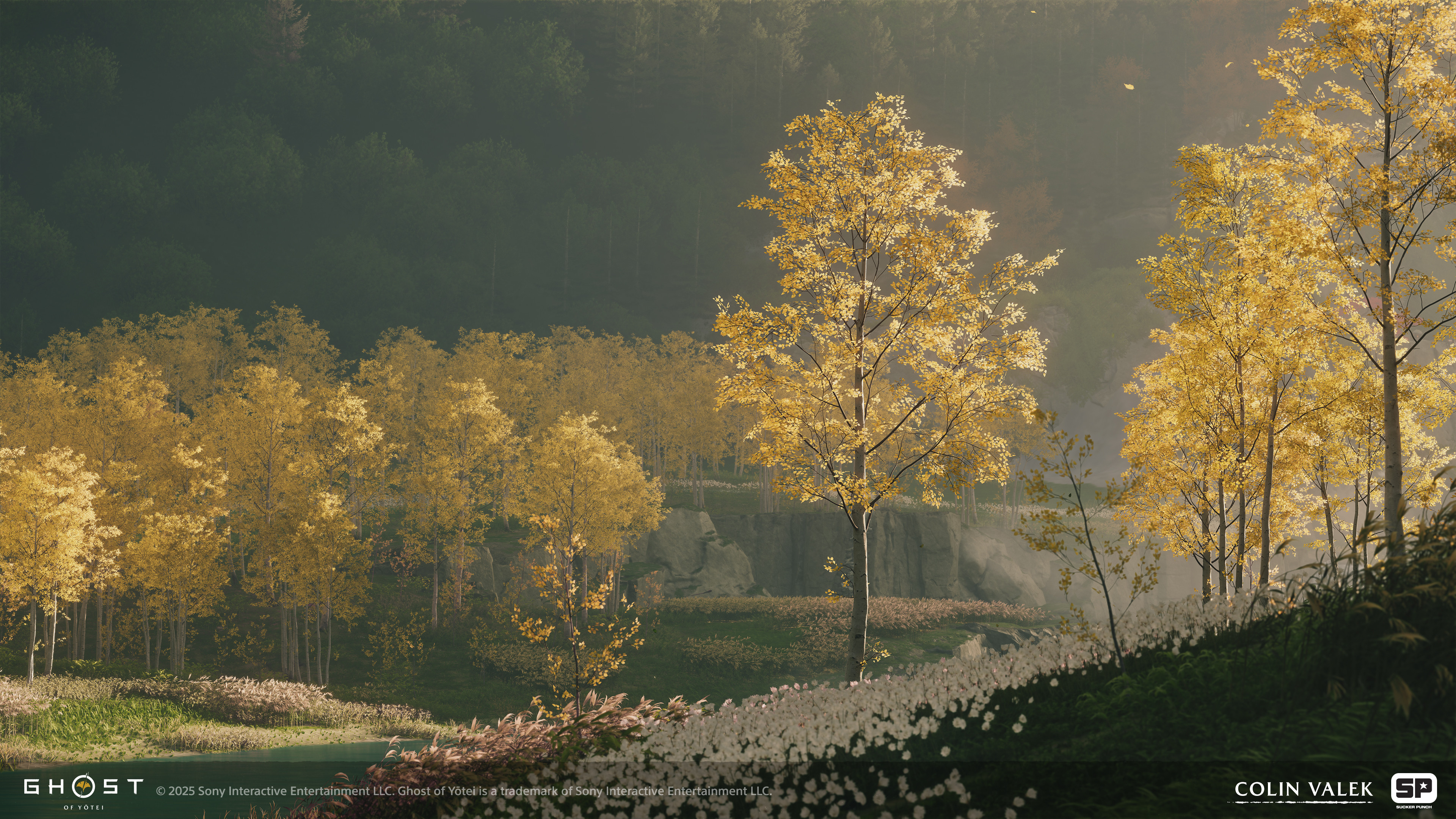 Growth expressions + tree assets + bark scans made by me, foliage groundcover made by Joeanna Steuber