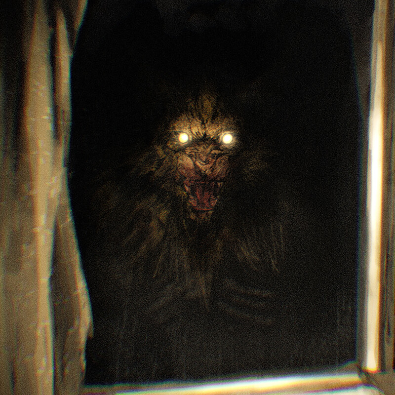 There's Something in the Window