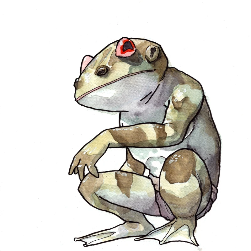 A Froglok