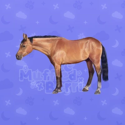 Tinka's Glory Boy Howrse coat submission (Dec2025) - Not in game