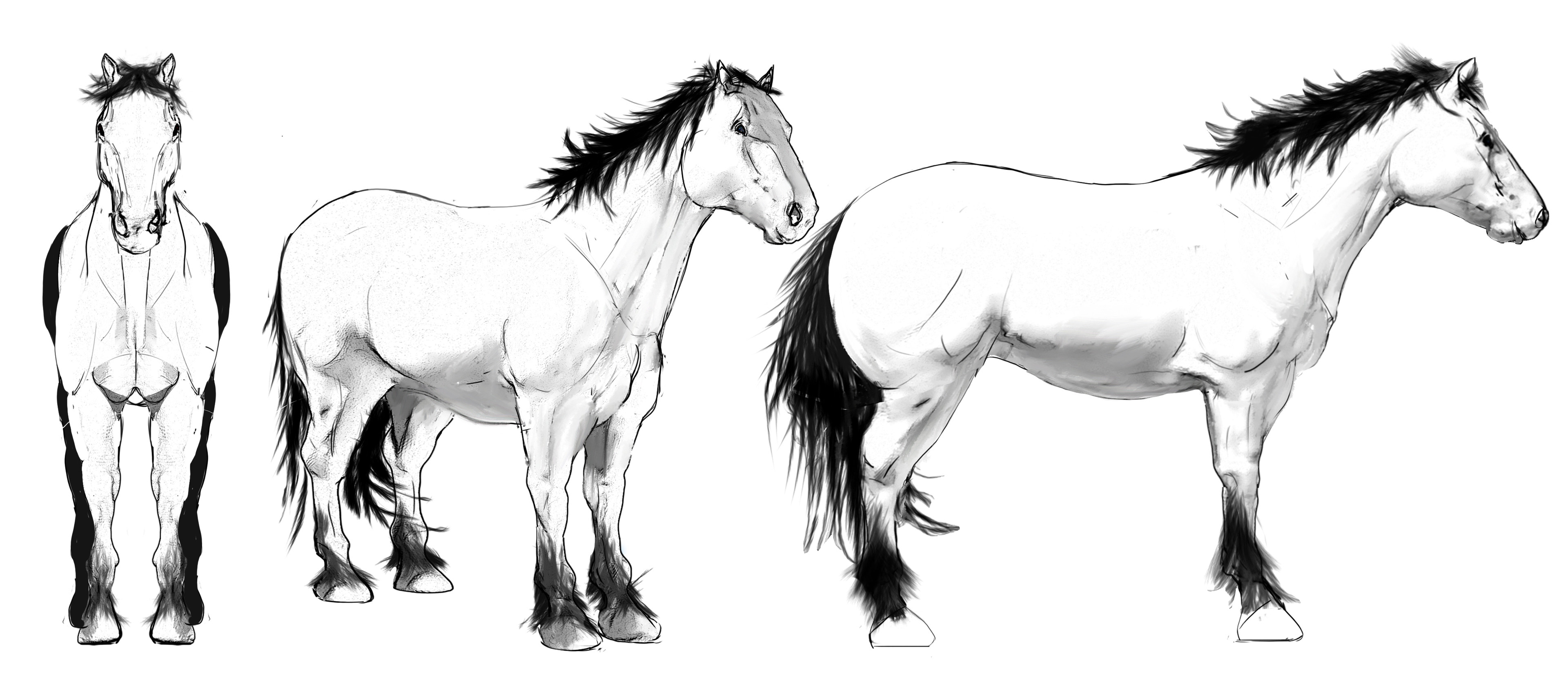 Pre design made for horse modeling 