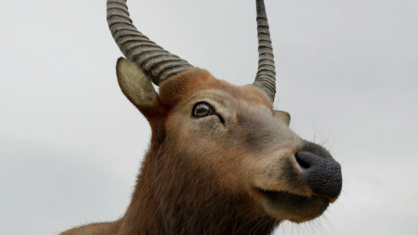 UMA GAROTA DE CLASSE