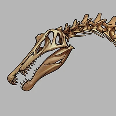 Dino Skeletons II