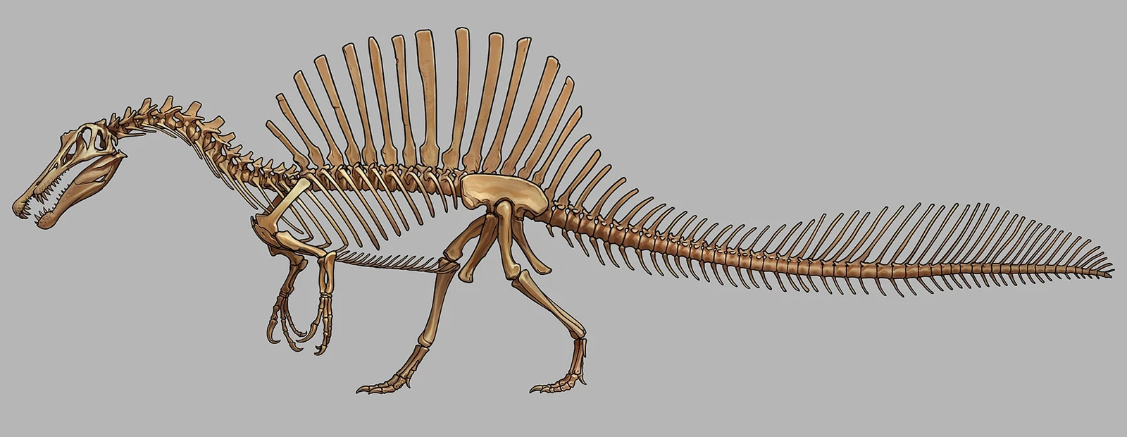 Spinosaurus