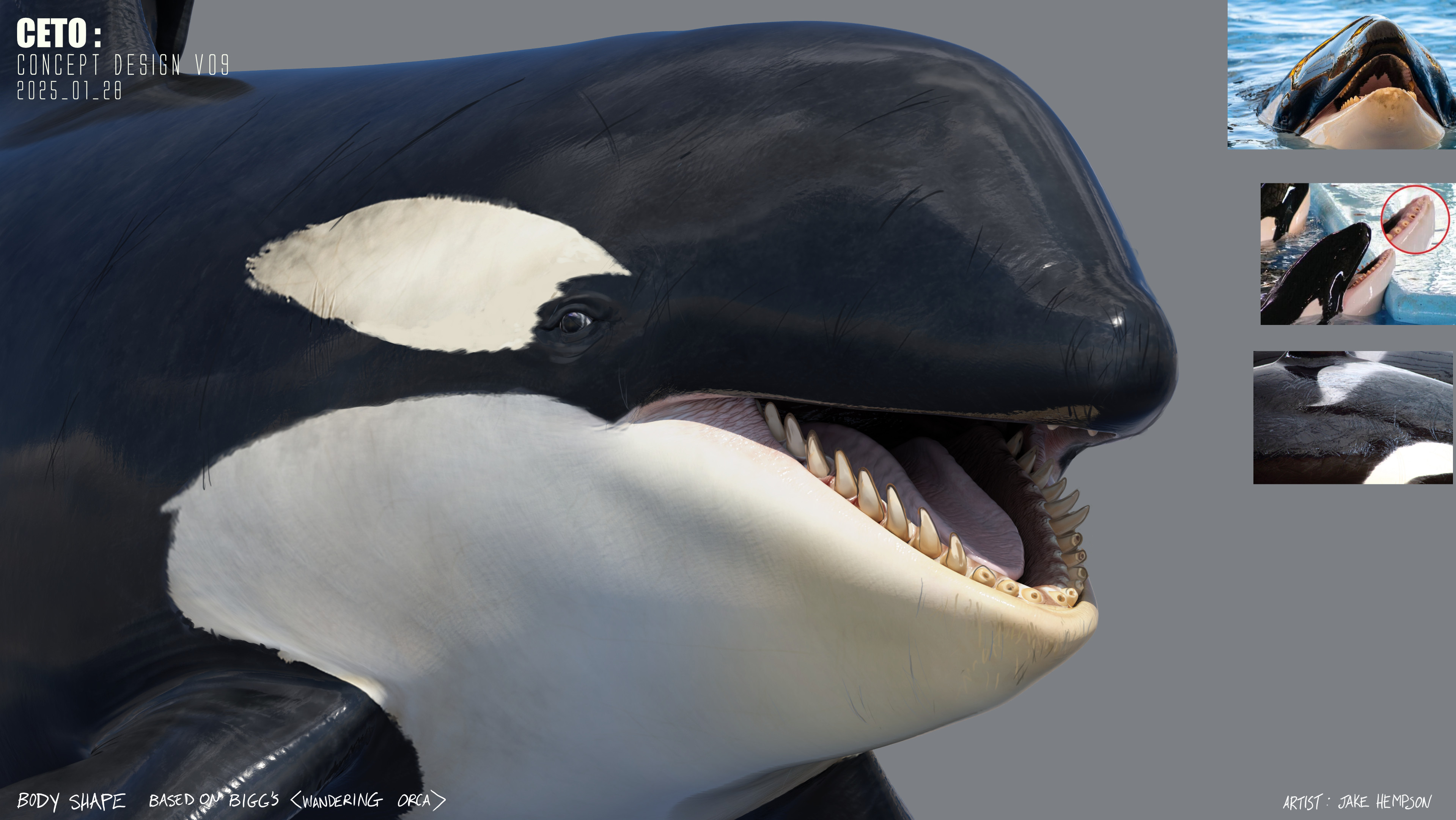 Broken teeth and general captivity health degradation (indicated her mental health).