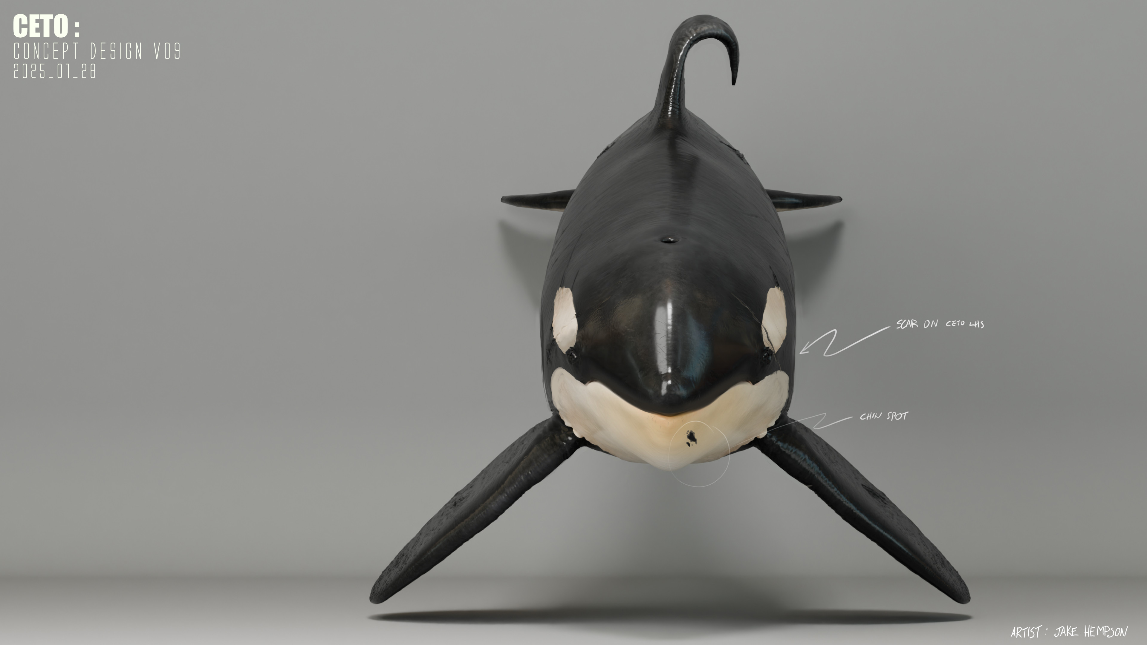 Front view concept update.