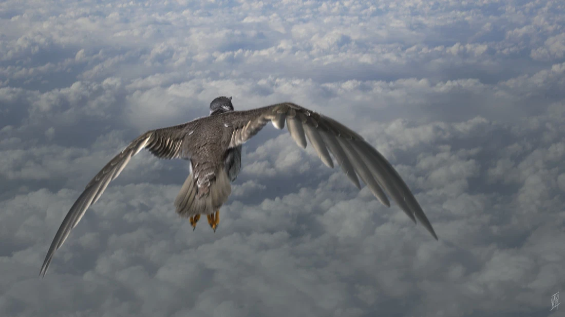 WIP render with groom in Houdini.