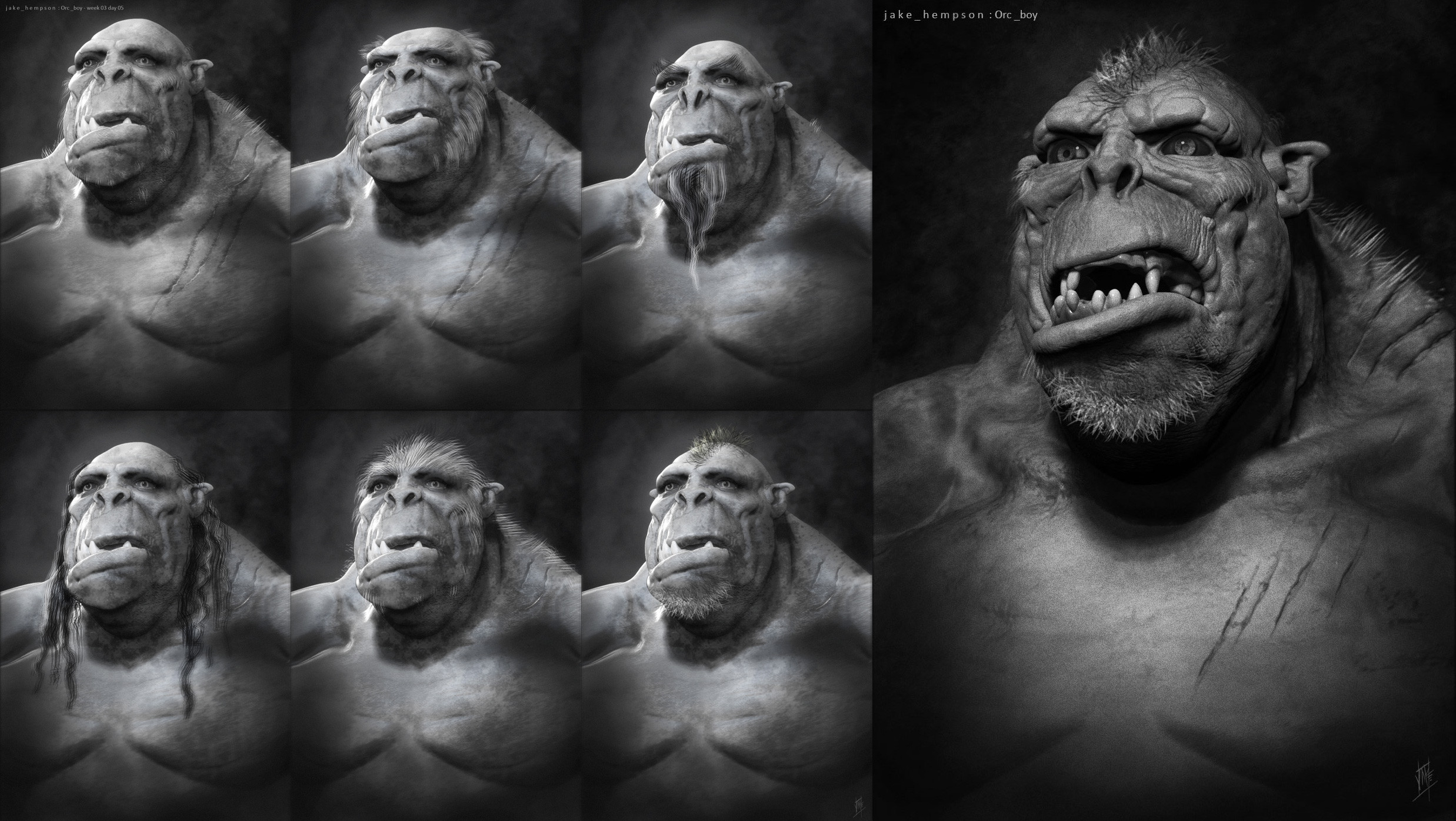 Facial  and  hair variants.